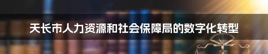 天长市人力资源和社会保障局的数字化转型