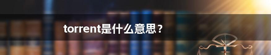 torrent是什么意思？