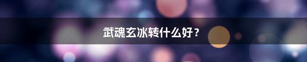 武魂玄冰转什么好？