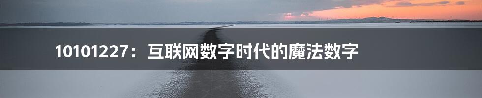 10101227：互联网数字时代的魔法数字