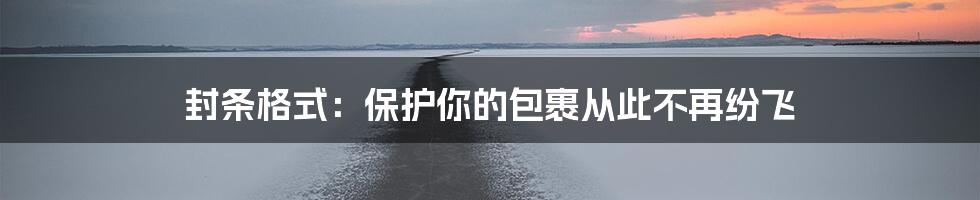 封条格式：保护你的包裹从此不再纷飞