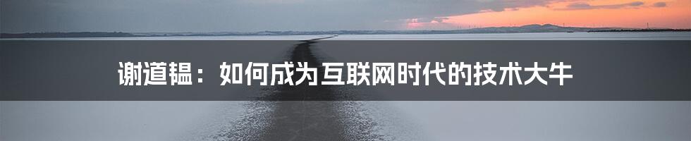 谢道韫：如何成为互联网时代的技术大牛