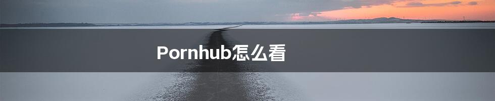 Pornhub怎么看