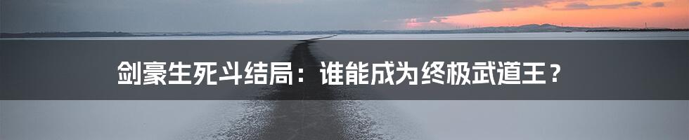 剑豪生死斗结局：谁能成为终极武道王？