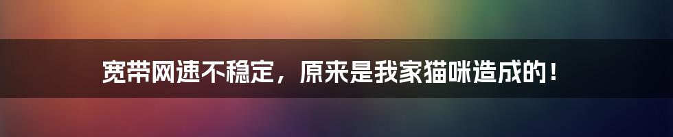 宽带网速不稳定，原来是我家猫咪造成的！