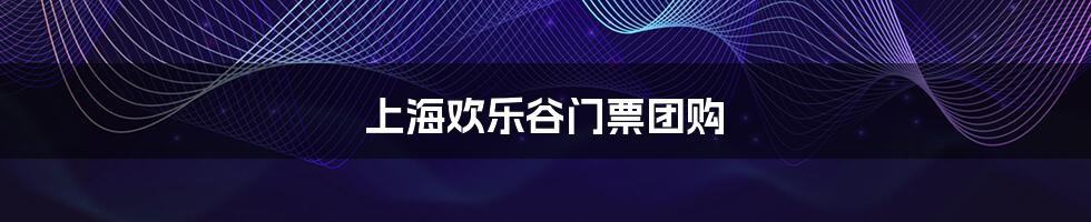 上海欢乐谷门票团购