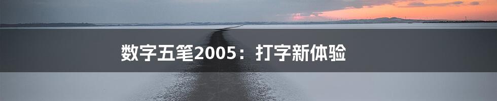 数字五笔2005：打字新体验