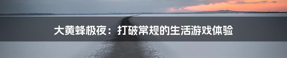 大黄蜂极夜：打破常规的生活游戏体验