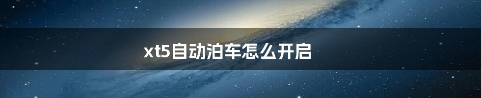 xt5自动泊车怎么开启