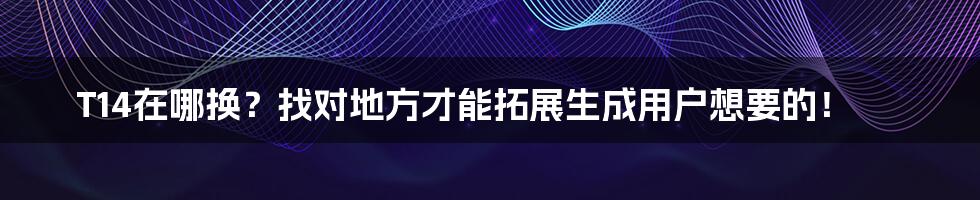 T14在哪换？找对地方才能拓展生成用户想要的！