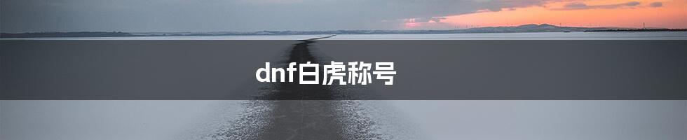 dnf白虎称号