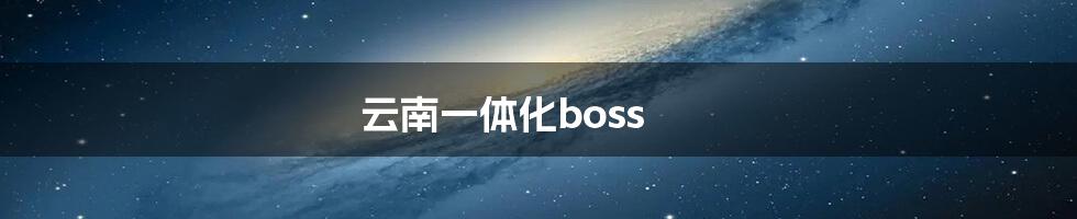云南一体化boss