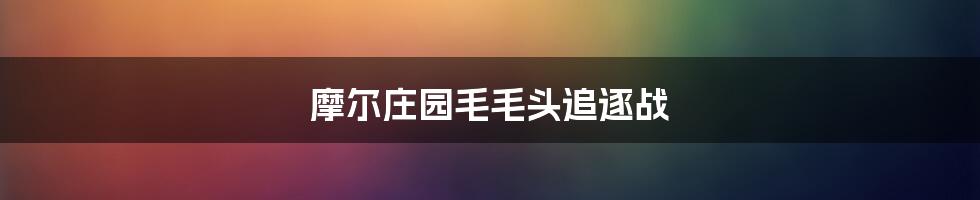 摩尔庄园毛毛头追逐战