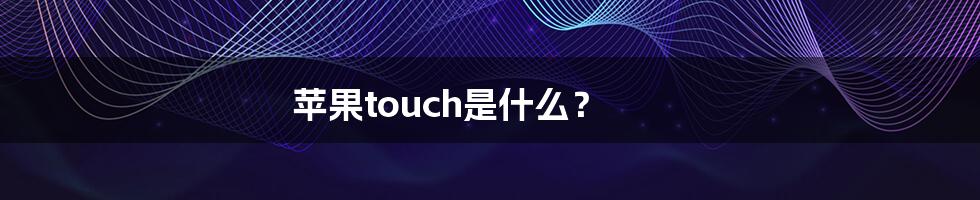 苹果touch是什么？