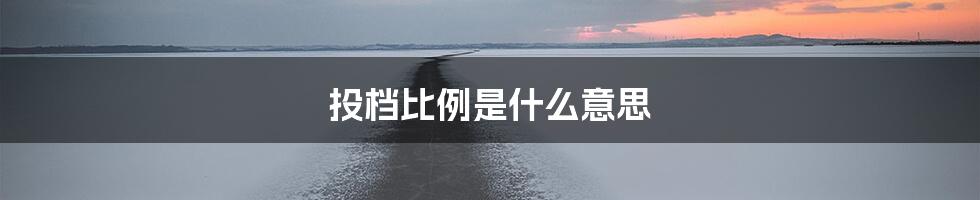 投档比例是什么意思