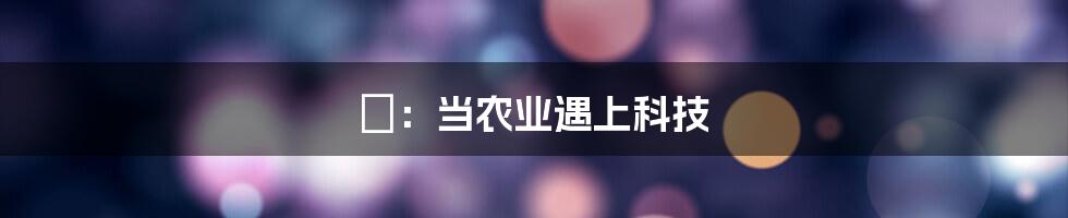 垟：当农业遇上科技