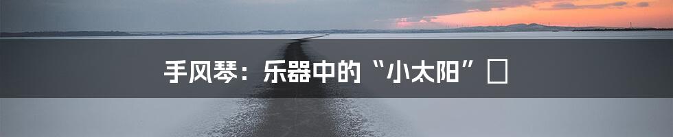 手风琴：乐器中的“小太阳”🌞