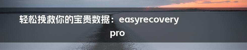 轻松挽救你的宝贵数据：easyrecovery pro