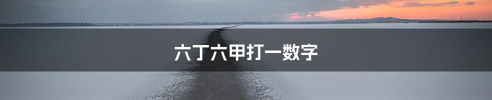 六丁六甲打一数字