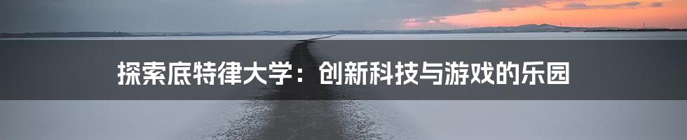 探索底特律大学：创新科技与游戏的乐园