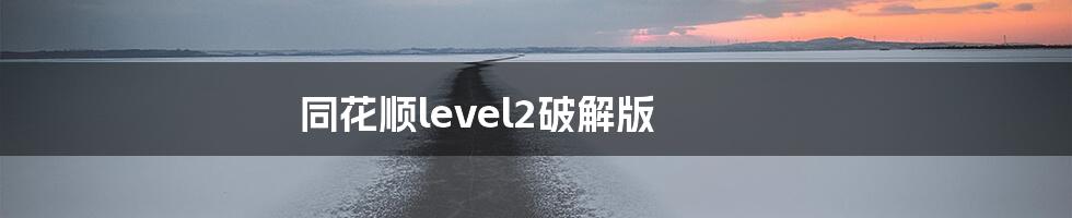 同花顺level2破解版