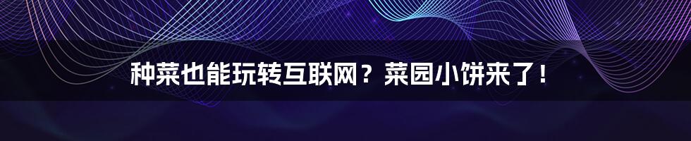 种菜也能玩转互联网？菜园小饼来了！