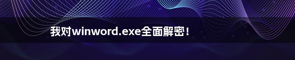 我对winword.exe全面解密！