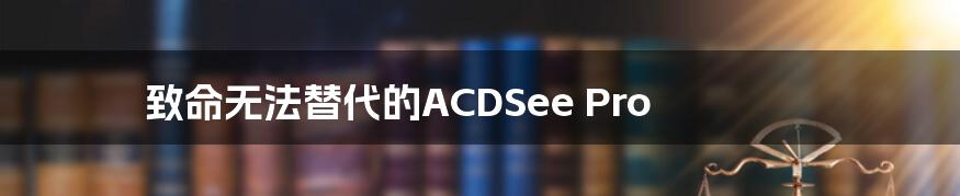 致命无法替代的ACDSee Pro