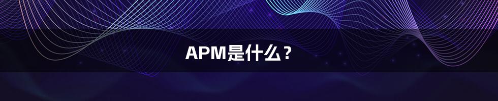 APM是什么？