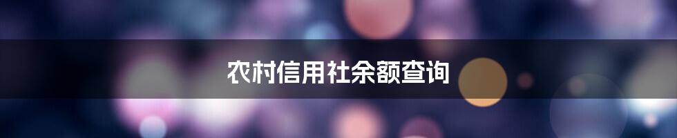 农村信用社余额查询