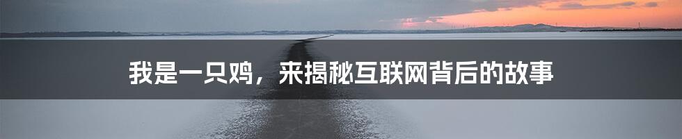 我是一只鸡，来揭秘互联网背后的故事