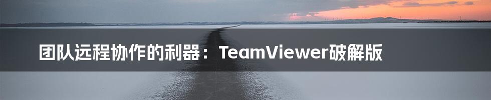 团队远程协作的利器：TeamViewer破解版