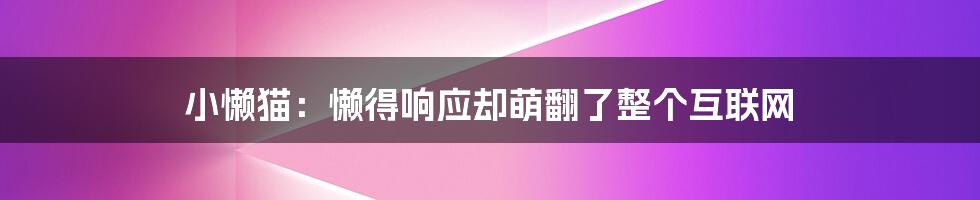 小懒猫：懒得响应却萌翻了整个互联网