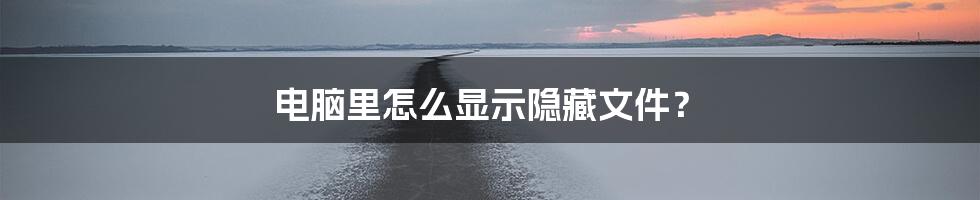 电脑里怎么显示隐藏文件？