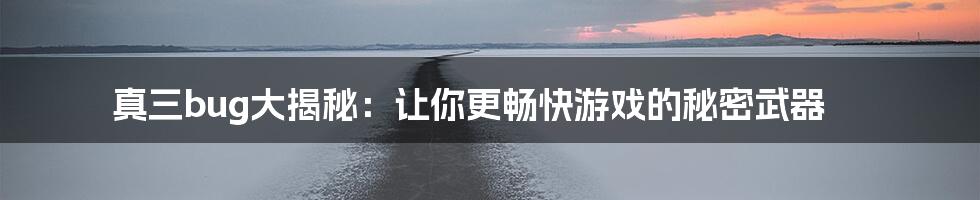 真三bug大揭秘：让你更畅快游戏的秘密武器