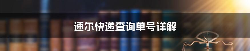 速尔快递查询单号详解