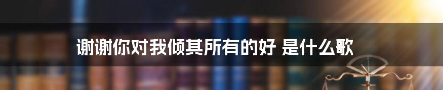 谢谢你对我倾其所有的好 是什么歌