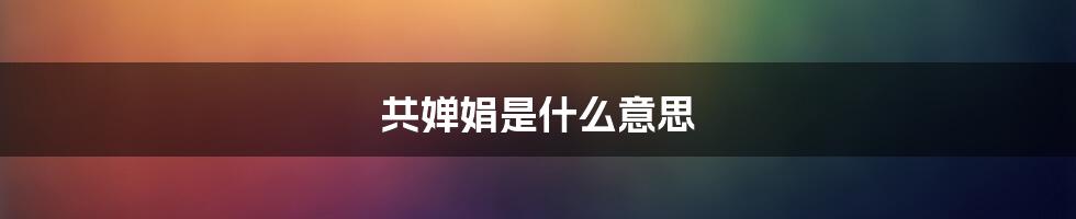 共婵娟是什么意思