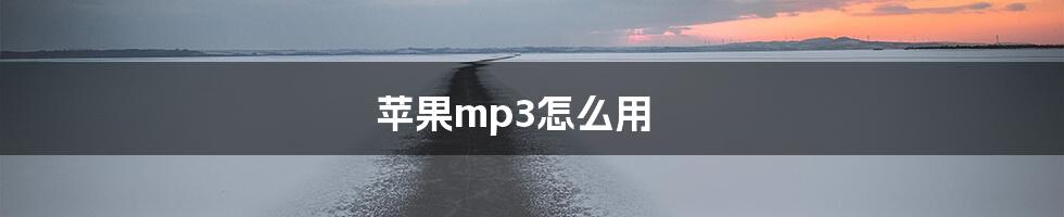 苹果mp3怎么用