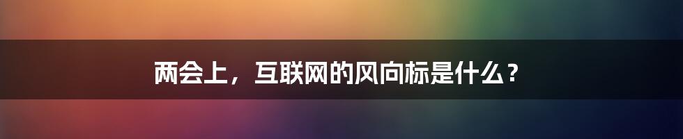 两会上，互联网的风向标是什么？