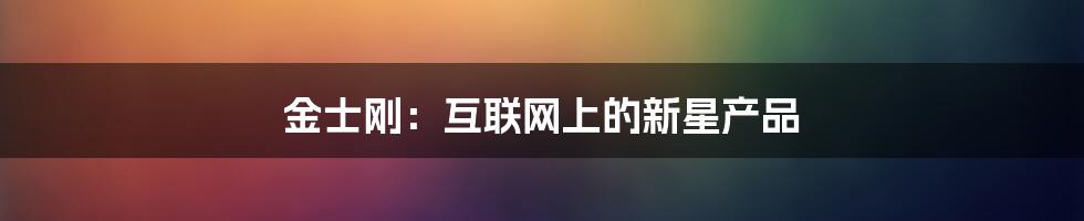 金士刚：互联网上的新星产品