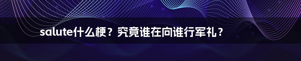 salute什么梗？究竟谁在向谁行军礼？