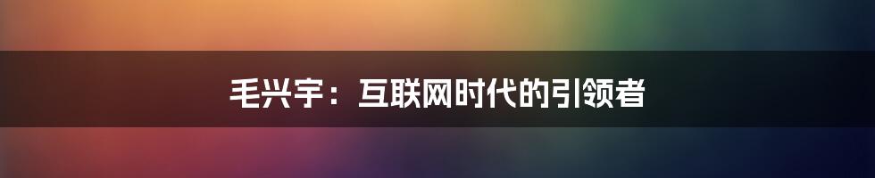 毛兴宇：互联网时代的引领者