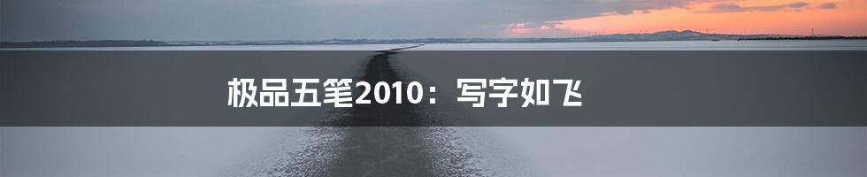 极品五笔2010：写字如飞