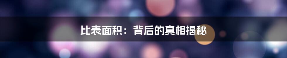 比表面积：背后的真相揭秘