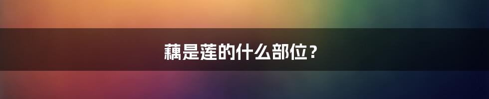 藕是莲的什么部位？