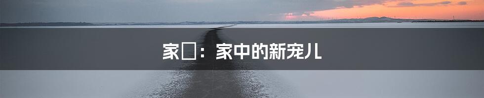 家俬：家中的新宠儿