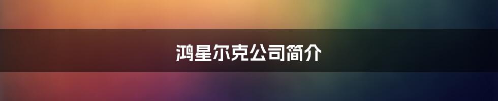 鸿星尔克公司简介