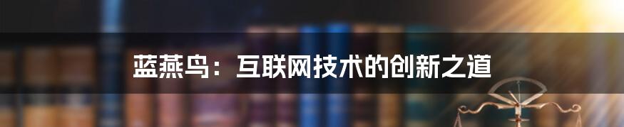 蓝燕鸟：互联网技术的创新之道