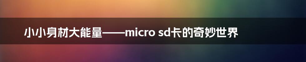 小小身材大能量——micro sd卡的奇妙世界